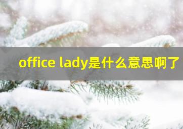 office lady是什么意思啊了